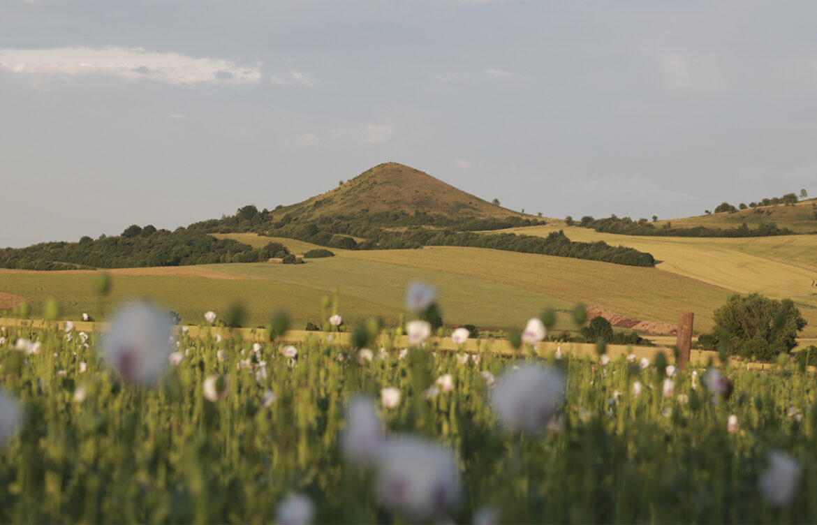 Wearyall Hill
